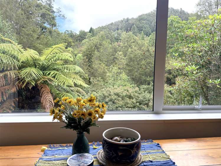 295 Roa Road Blackball_4