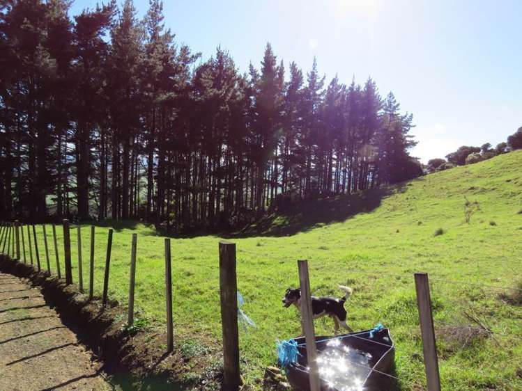 835b Kaitaia Ahipara Road Ahipara_15