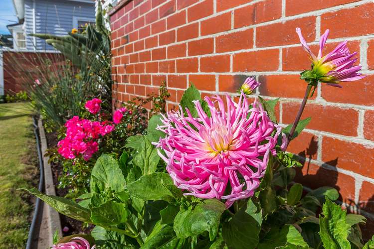 20 Glamis Avenue Strathmore Park_25