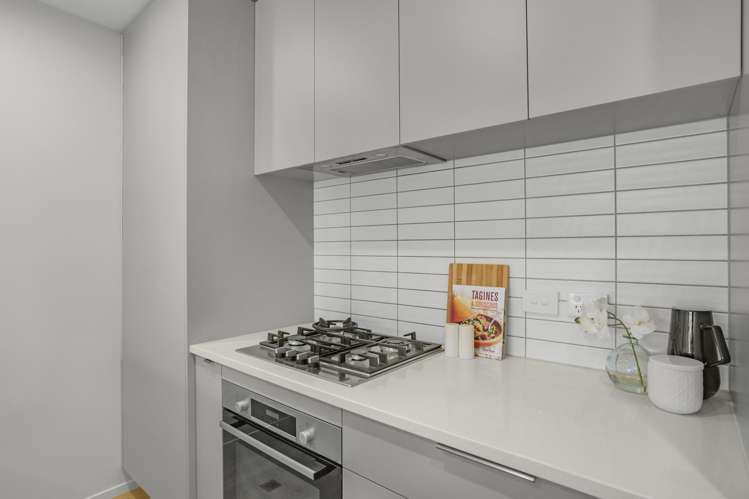 48 Mills Street Boulcott_11