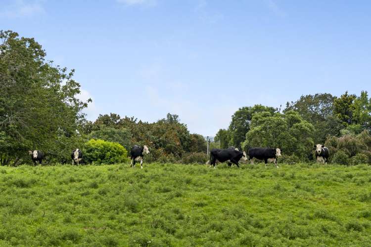 579 Belk Road Omanawa_23