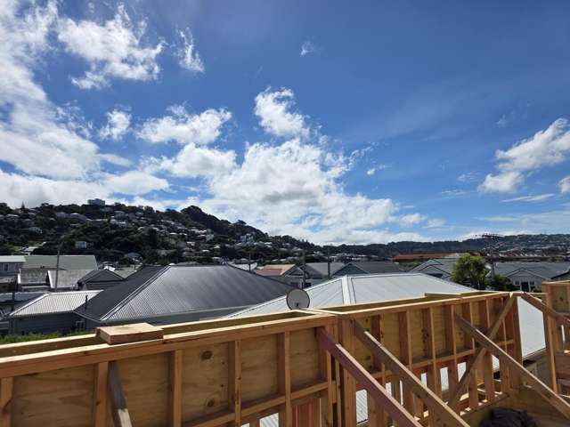 26 Resolution Street Lyall Bay_2