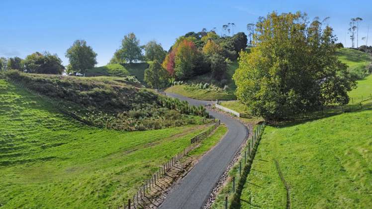 Otumahi Lane_3