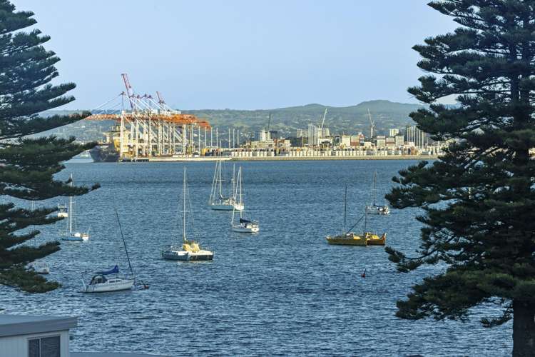 31/12 Maunganui Road Mount Maunganui_3