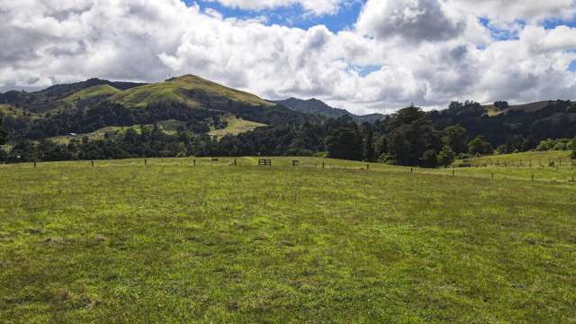 55 County Road Paeroa_3