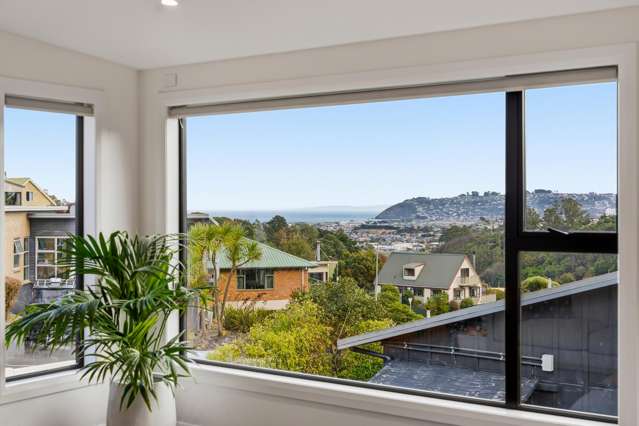 197 Somerville Street Shiel Hill_4