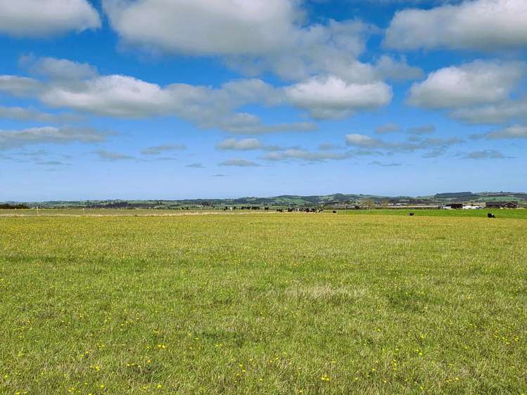 6320 State Highway 12 Dargaville_9