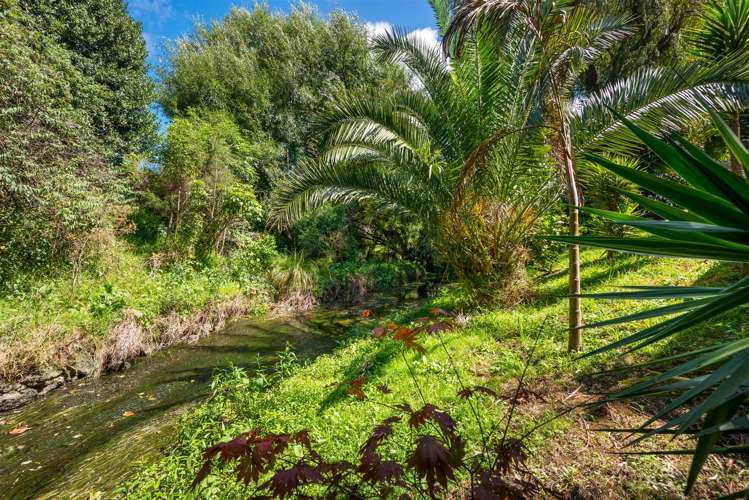 1010a Great North Road Point Chevalier_20