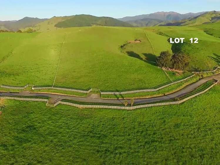 115 Chester Park Road Carterton_1