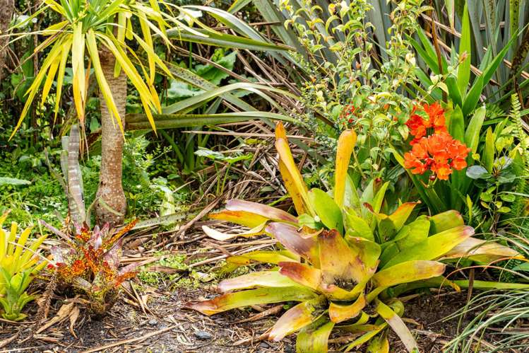 26 Bassett Street Dargaville_27