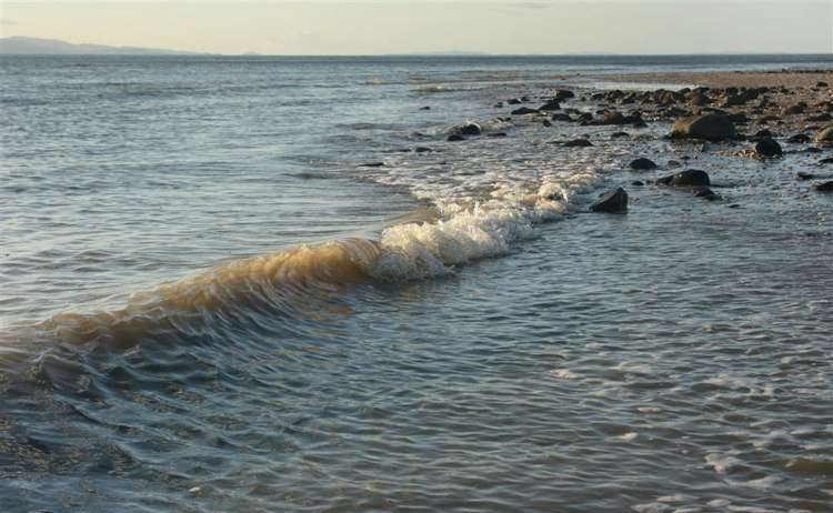 104 Wilson Street Thames_29