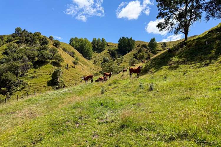 131 Rangitane Road Mangaweka_20