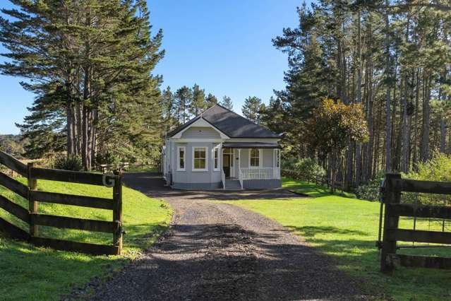 CHARISMATIC VILLA IN ITS OWN FOREST