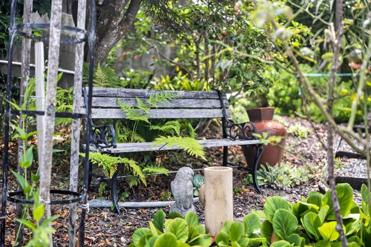 22 Widmore Drive Massey_30