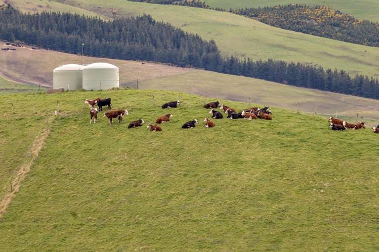 705 Malvern Hills Road Coalgate_25