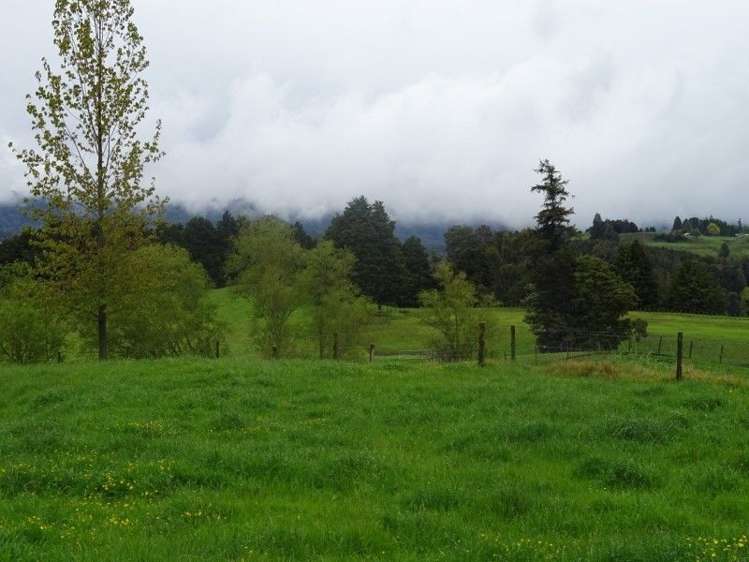 24 Hapa Road Kakahi_20