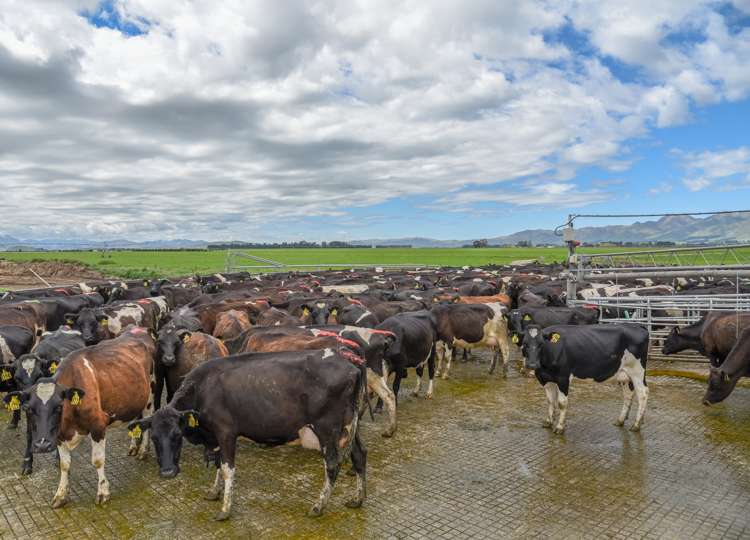 106 Rotherham Road South Culverden_6