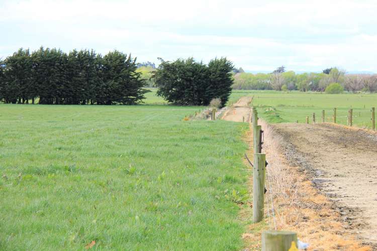 15 Allan North Otautau_8