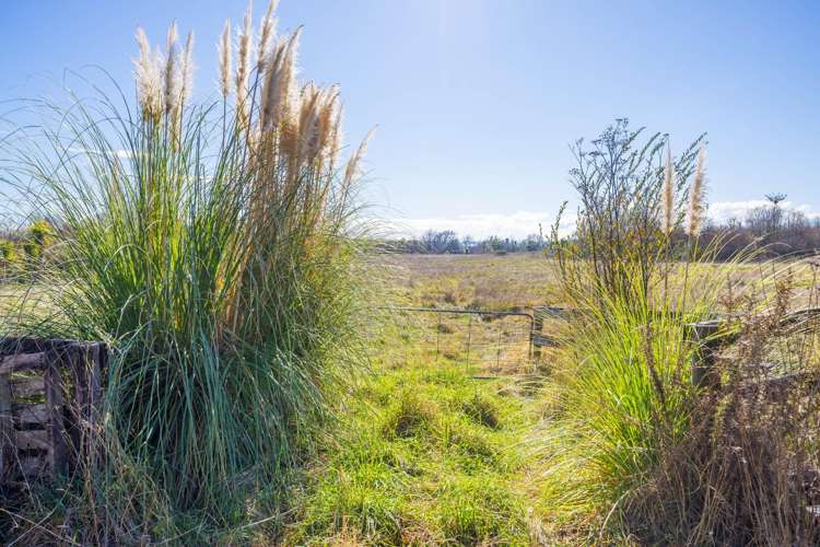 Rotowaro Road Huntly_6