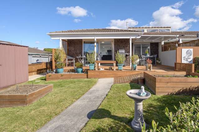 9/3 Stewart Street Te Puke_1