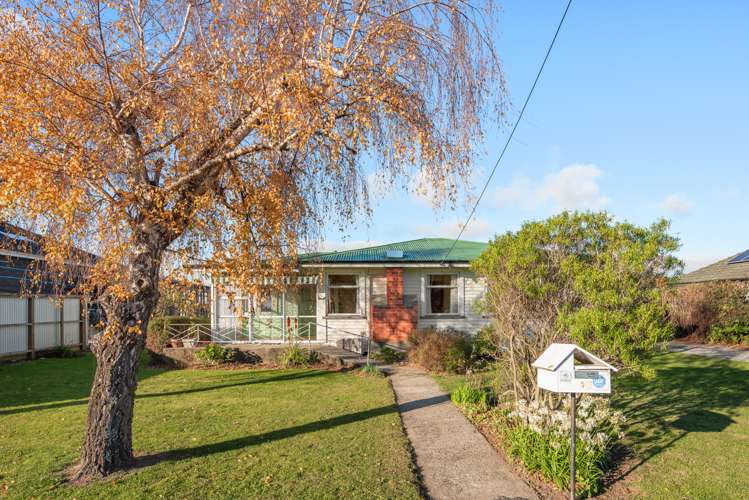 17 Cubitt Street Blenheim Central_0