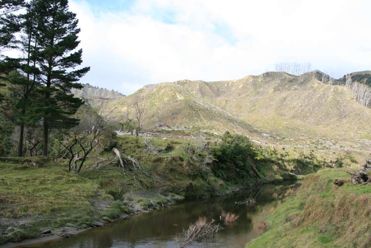 0n Makakaho Road Ngamatapouri_22