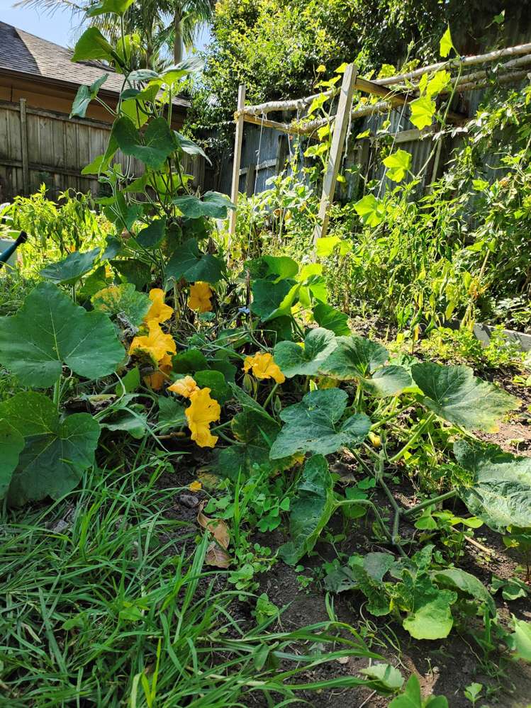 55 Williamson Avenue_5