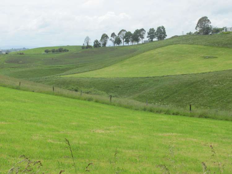 35 Grove Access Road Karamu_1