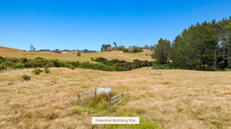 592 Kanohi Road Kaukapakapa_38