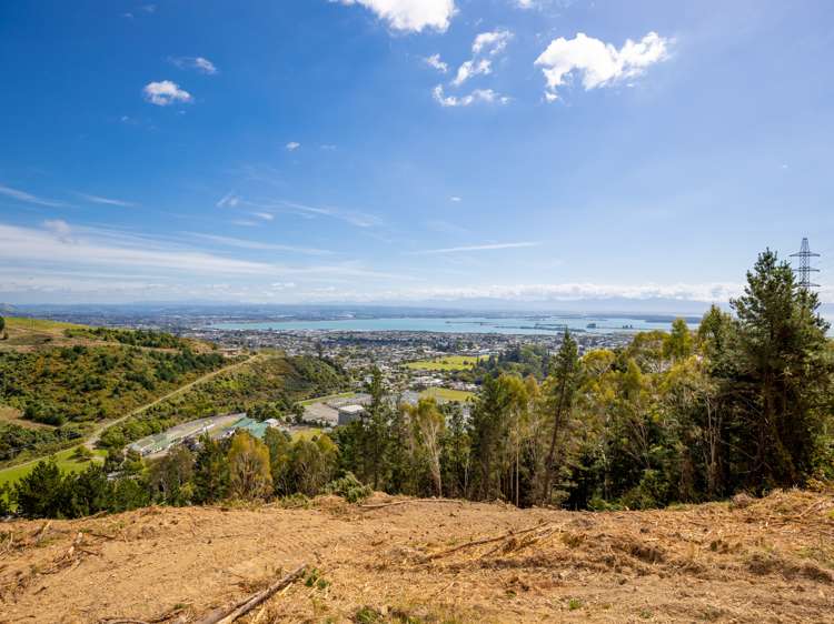 184 Panorama Drive Enner Glynn_9