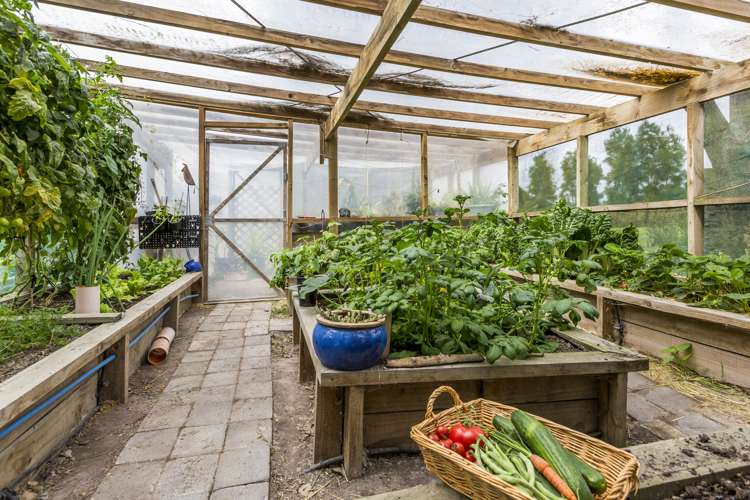 39 Horseshoe Bush Road Dairy Flat_18