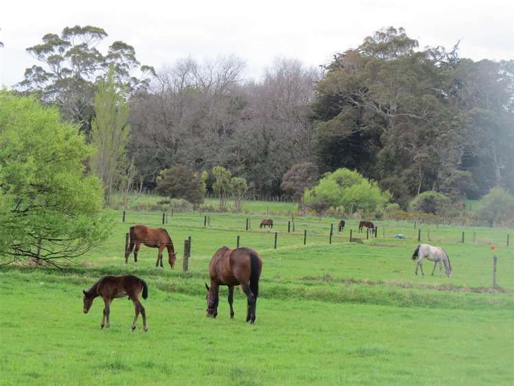 97 Tutaenui Road Marton_6
