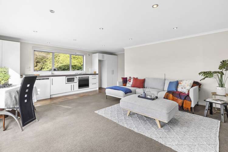 13 Niger Street Wanaka_18