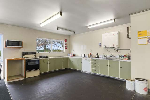 288 No 3 Road Te Puke_4