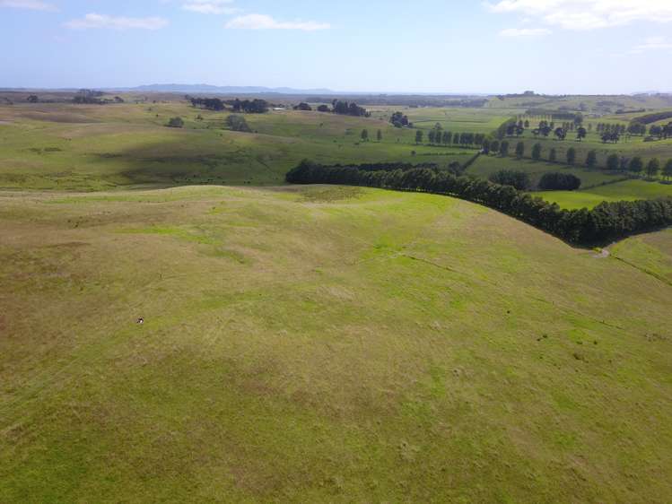 State Highway 10 Kaingaroa_16