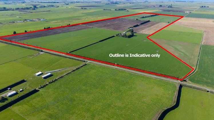 1467 Boundary Road Ashburton_3