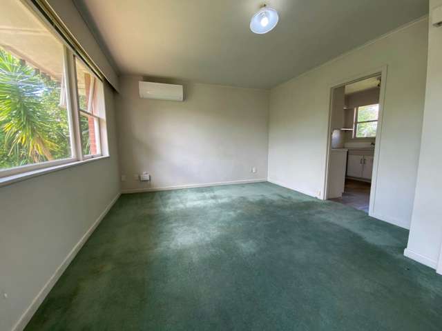 83A Nile Road Milford_4