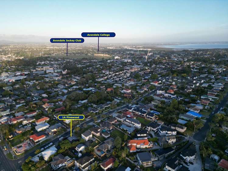 1a Pinewood Street Avondale_15