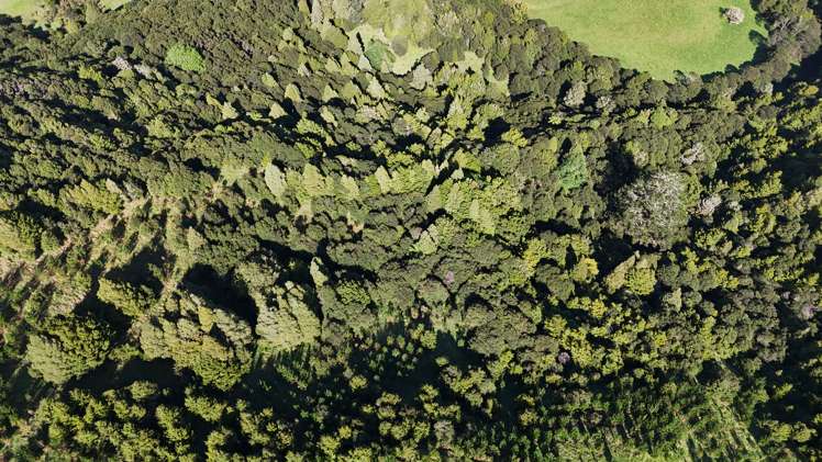 30C Te Ranga Road Kaeo_35