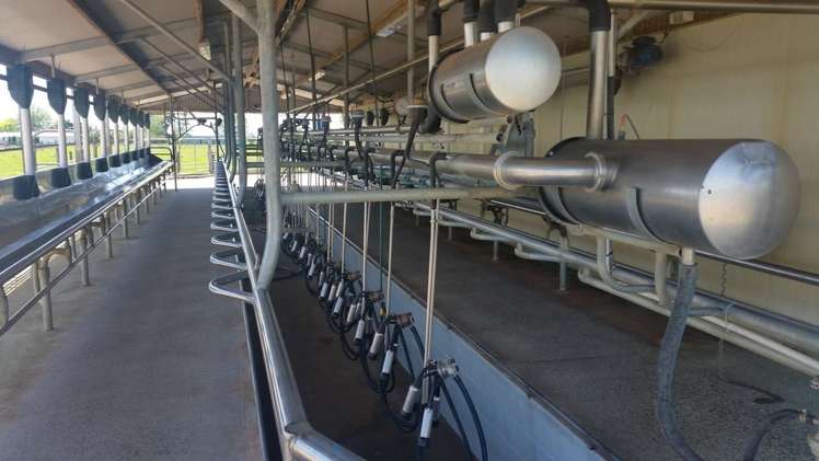 223 No 1 Road Waitoa_5