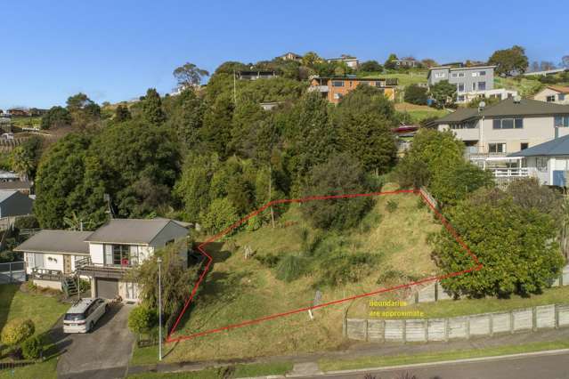 46 Graham Place Bellevue_2