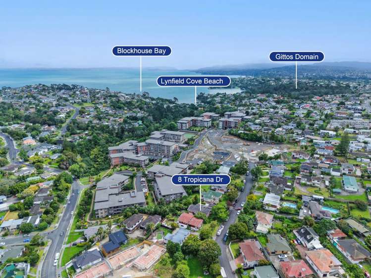 8 Tropicana Drive Mt Roskill_18