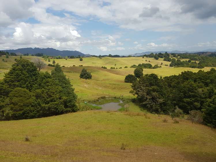 160 Otuhi Road Mangapai and Surrounds_17