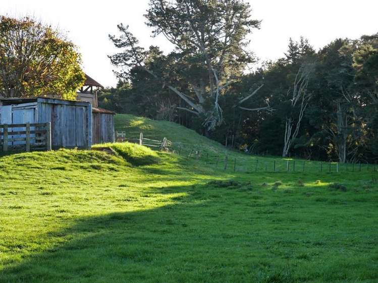 102 Allen Street Morrinsville_17