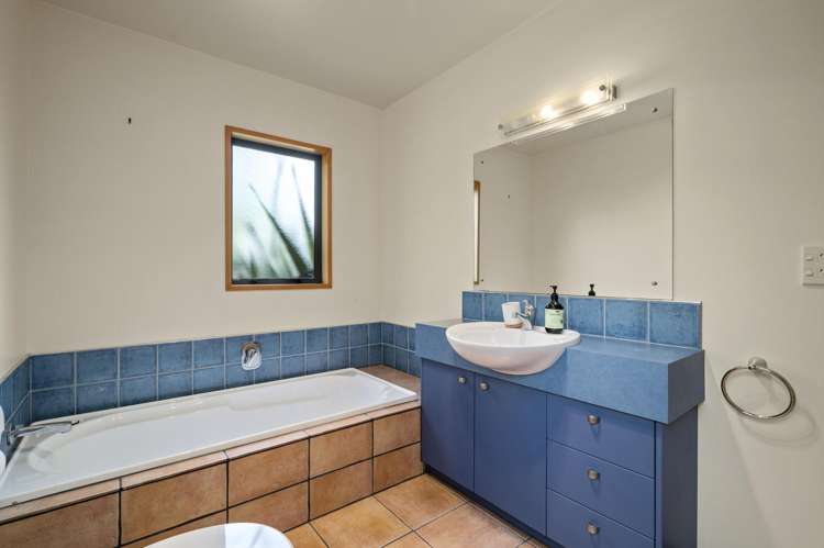 1295M State Highway 30 Rotoiti Forest_13