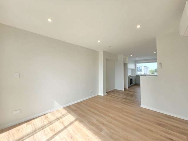 21 Pukakaho Lane Papatoetoe_3