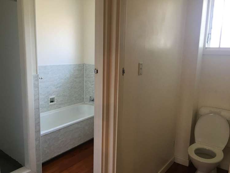 183 Campbell Road Greenlane_9