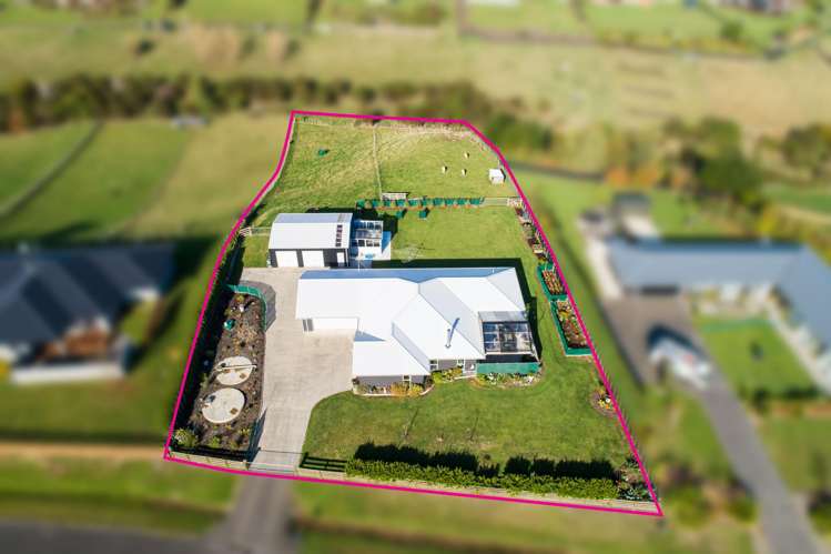 31 Wapiti Avenue Feilding_19