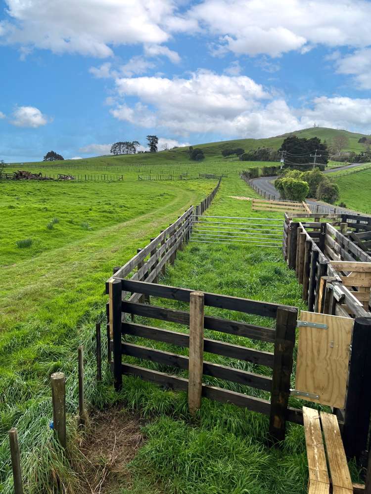 71 Puketutu Road Bombay_5