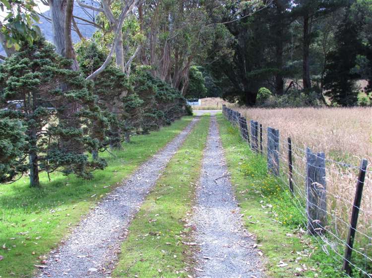 3103 State Highway 6 Barrytown_15